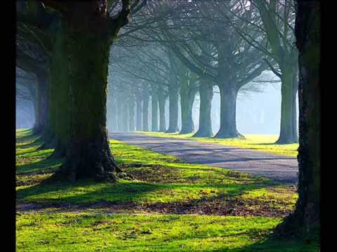 Voz da Verdade - Terra do Pão