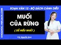 Soạn bài Muối của rừng Ngữ văn 12 Cánh diều