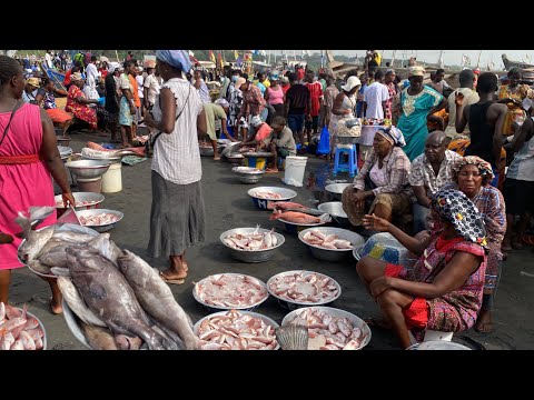 Fresh Fish Market In Sekondi Ghana 🇬🇭 