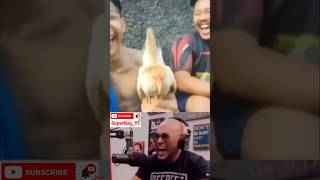 Download lagu Tahan Tawa Ngakak Part7 #ShortVideo || Meme Lucu Video mp3 Download lagu Tahan Tawa Ngakak Part7 #ShortVideo || Meme Lucu Video mp3