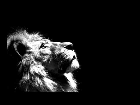Pablo Fierro - Lion (Original Mix)
