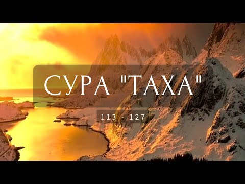 Красивое чтение суры "ТаХа" (113-127 аяты) 🌱 | @AlmalkeyLibya