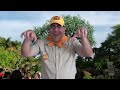 Mike S Travel Tips 1 Wilderness Explorer At Disney S Animal Kingdom