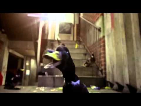 Bingo Players Feat. Far East Movement - Get Up (Rattle) (Ultimix Remix Video)