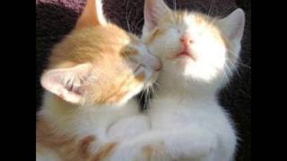 HEIDI WILSON AND KATHY LYNN - I HAD A BABY