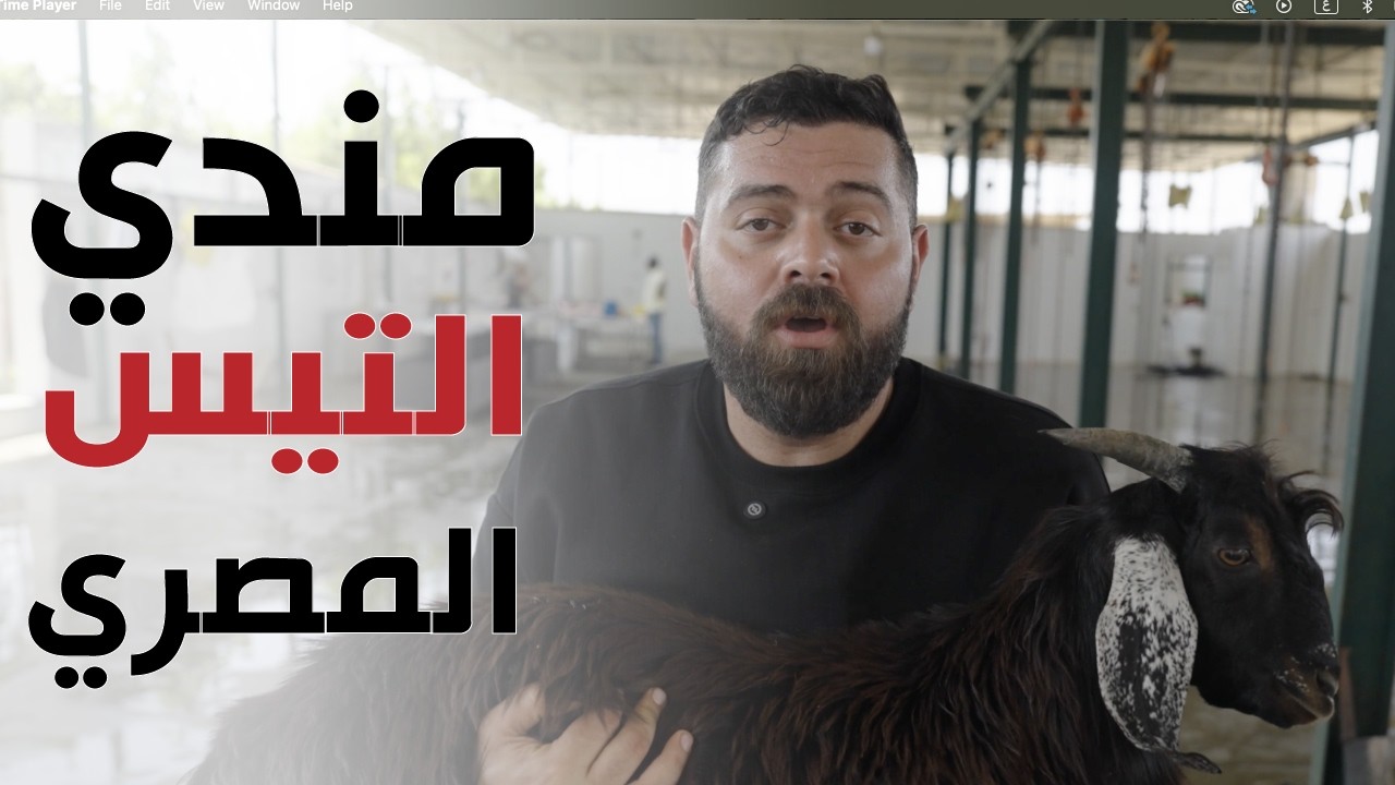 المندي المصري اليمني؟ إبداعات حضرموت عنترفي القاهرة