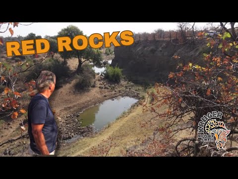 Kruger – Die erstaunlichen Red Rocks – (einige tolle Tipps)