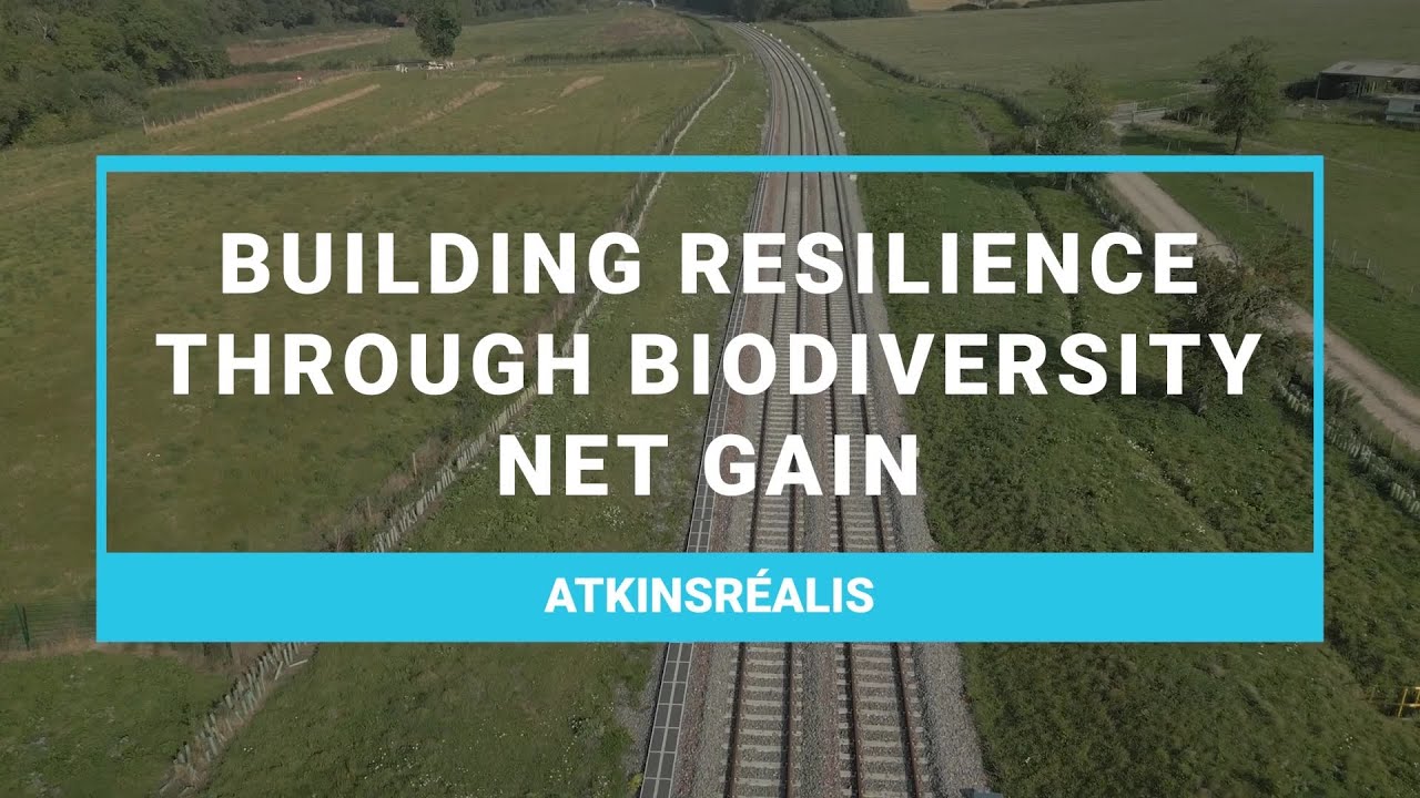 Building Resilience Through Biodiversity Net Gain  | AtkinsRéalis | The Nature of Building