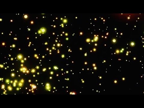 Golden Neon Floating Particles Animation Background Video , No Copyright || fireflies background