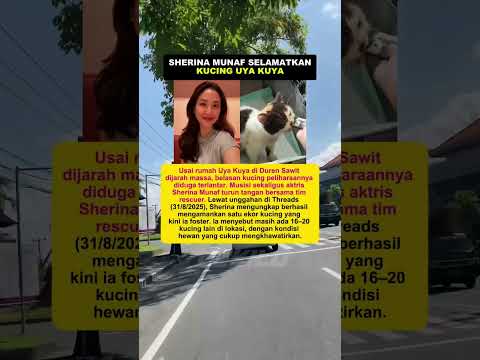 Sherina Munaf Selamatkan Kucing Uya Kuya #beritaartis #beritaviral