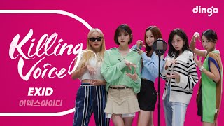 [影音] Dingo Killing Voice - EXID