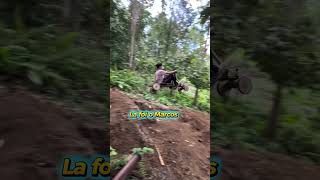 Taque le Pau. #videos #memes #trending