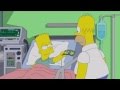 Homer Simpson - Where's my money 