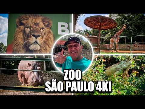 Zoo Tour Passeio no Zoológico de São Paulo Brasil América do Sul Vídeo 4K Com GoPro 13