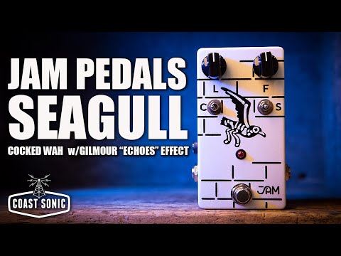 Coast Sonic Signal Test: JAM Seagull