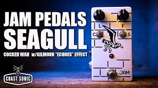 Video thumbnail for Coast Sonic Signal Test: JAM Seagull by Coast Sonic