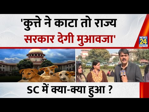 SC on Stray Dogs: Supreme court का अहम फैसला, 'कुत्ते ने काटा तो राज्य सरकार देगी मुआवजा'