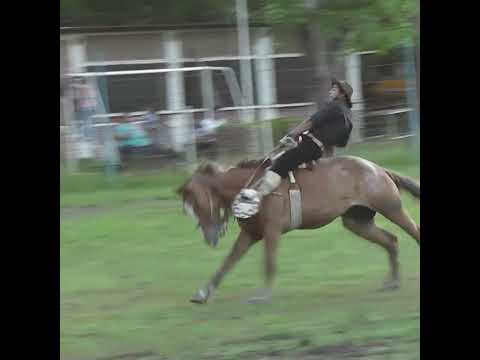 Broche de oro LA CHAIRA en la 4º Fiesta de la Tradición en Crespo Entre Rios