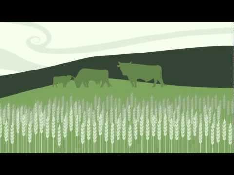 垂直農業 (Vertical Farming)