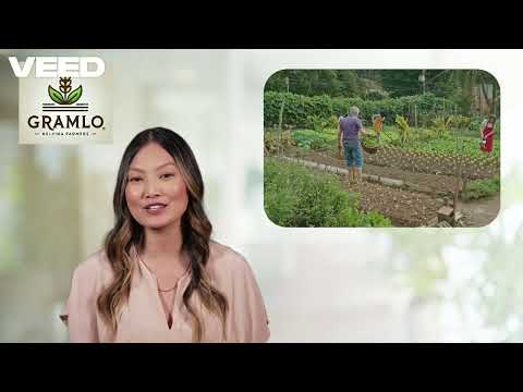 Bio Dap Fertilizer