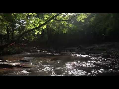 Som de Água Corrente para Dormir Relaxar Estudar (Barulho de Água de Rio)