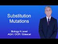 A Level Biology Revision Year 13 Substitution Mutations
