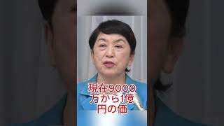 福島瑞穂氏の資産をめぐる情報が話題に【政治ニュース】 #政治 #日本 #ニュース #話題 #国会