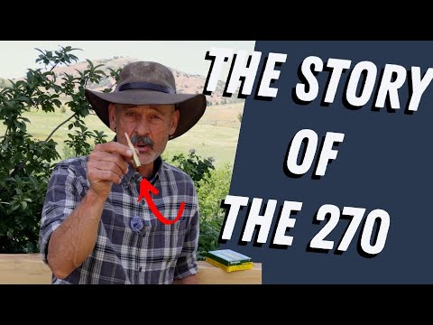 The History of the .270 Winchester – America’s Favorite Hunting Cartridge