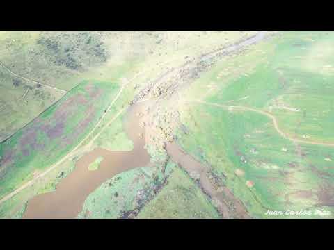 ENTRE ARDILA Y BODION - VALENCIA DEL VENTOSO