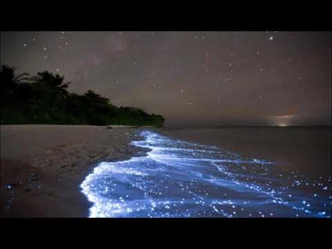 A/C   432Hz   K BRAHENY & TIM CLARK   A PERFECT EVENING