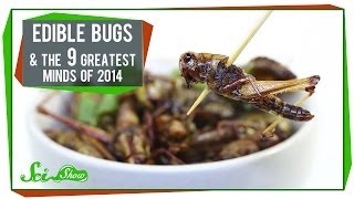The First Edible Bug Farm & The 9 Greatest Minds of 2014