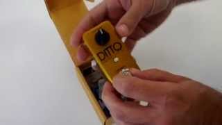 ギター TC ELECTRONIC Ditto Looper GOLD Limited TC Electronic Announces Limited Edition Ditto Looper Gold – No Treble