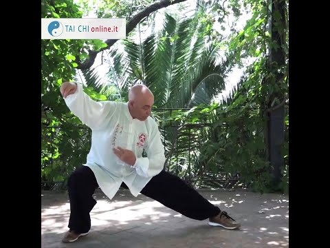 Serpente striscia per terra - Forma 108 Video lezione gratuita M° Flavio Daniele - Tai Chi Online.it