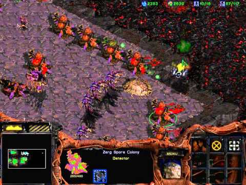 LGWI - StarCraft: Brood War 021 (To Slay the Beast)