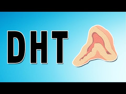 Testosterone Mechanism and Side Effects