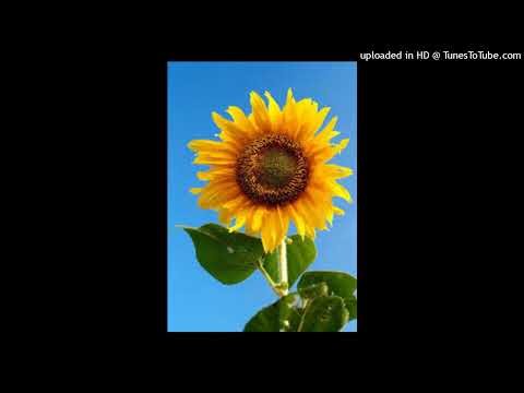 BAMBY X  JAHYANAI  - RUN DI PLACE  - Jean Luc Verna X Chris Morning - Pa Bezwen Anpil - Remix  By Dj