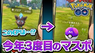 背景色100なるか！？ゾロアにマスターボール投げた結果…！！【ポケモンGO】