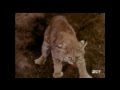 Lassie Episode 443 Barney Season 13 Ep 26 4 02 1967