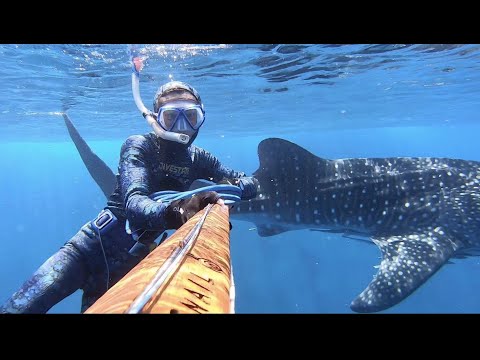 AMAZING GIANT WHALE SHARK & DEEP BLUE CLEARWATER Spearfishing With My Buddies
