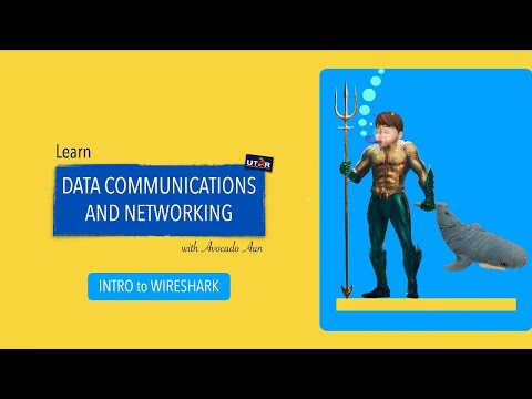 Inspector Packet - Wireshark Basics