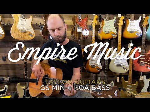 Taylor GS Mini-E 2022 Bild 6