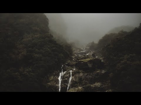 Soular Order //  Lowlight