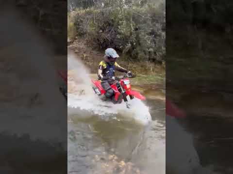 atravessando o rio negro no interior do Paraná #moto #trilha #viral #natureza #offroad #aventura