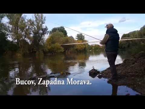 Bucov na Zapadnoj Moravi