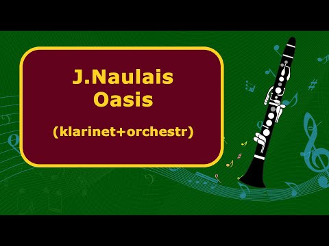 Jérome Naulais - Oasis  / klarinet + orchestr
