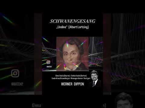 SCHWANENGESANG - LK Enzweihingen -WERNER DIPPON