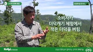 [산더덕5] 산더덕 재배 판매 방법
