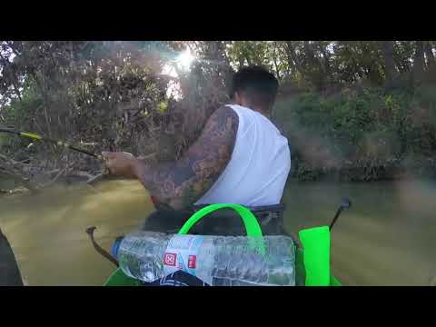 Warning Catfish @ spinning EBRO