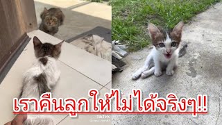 เราขอโทษ เราคืนลูกให้ไม่ได้จริงๆ สัญญาจะเลี้ยงลูกเธอให้ดีที่สุด
