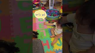 The tortoiseshell cat’s ‘oh well’ kind of day